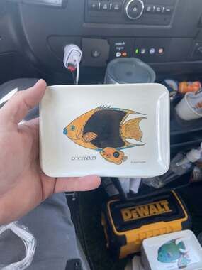 Set of 4 Vintage Rock Beauty Fish Melamine Trinket Trays